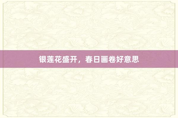 银莲花盛开，春日画卷好意思