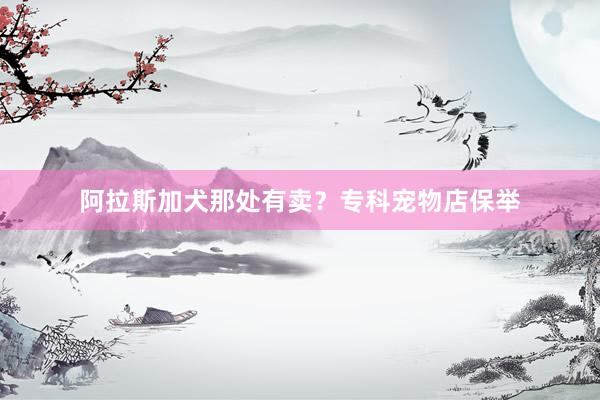 阿拉斯加犬那处有卖？专科宠物店保举