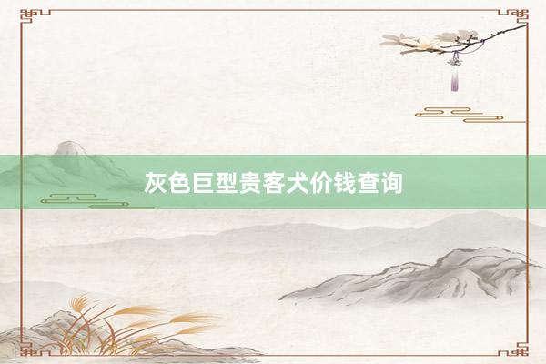 灰色巨型贵客犬价钱查询