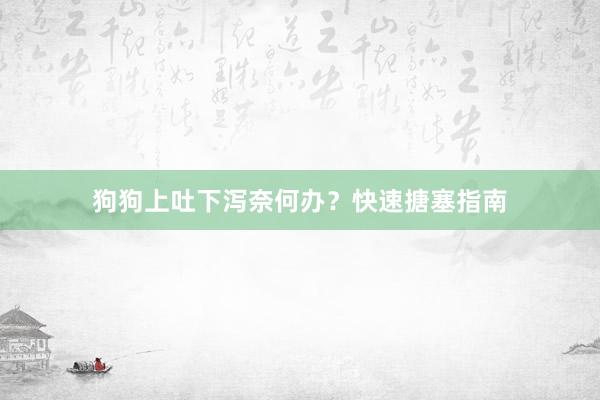 狗狗上吐下泻奈何办？快速搪塞指南