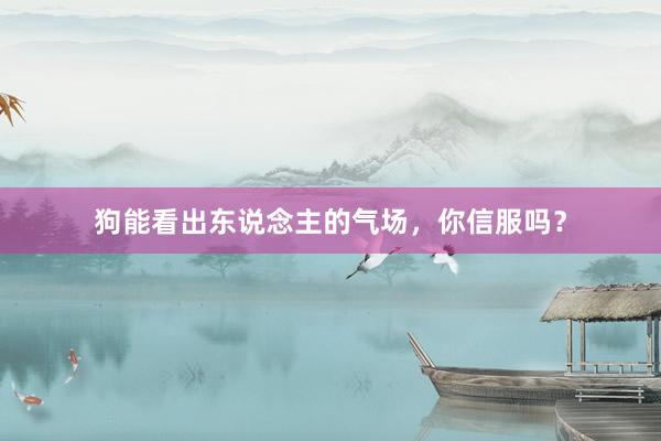 狗能看出东说念主的气场，你信服吗？